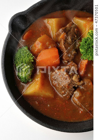 Vegetable goose roof beef stew 47370501