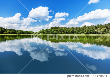 Summer lake landscape. 47370881