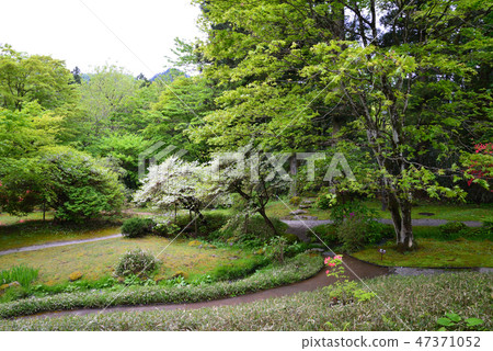 I went to Nikko Tamazawa Imperial Palace Memorial Park # 19 47371052