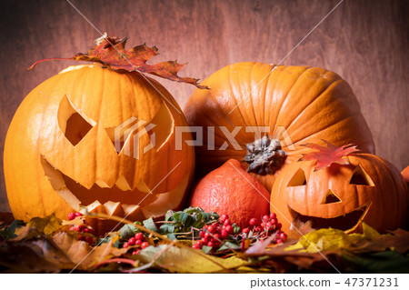 Halloween pumpkins, carved jack-o-lantern in fall leaves 47371231