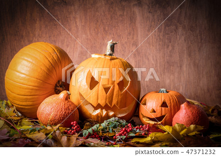 Halloween pumpkins, carved jack-o-lantern in fall leaves 47371232
