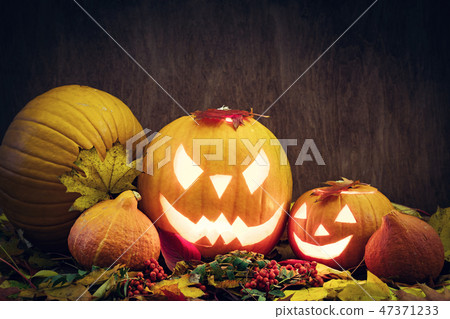 Halloween pumpkins glow, carved jack-o-lantern in fall leaves Halloween pumpkins glow, carved jack-o-lantern in fall leaves 47371233