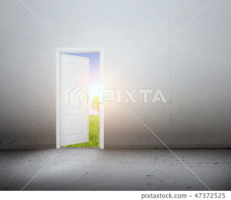 47372525