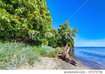 Coast of the Puck Bay, Baltic Sea in Poland. 47373748