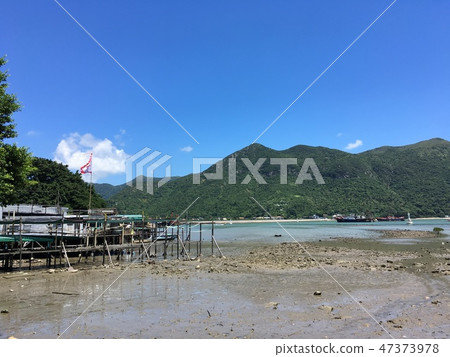 Island Island 47373978