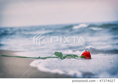 Waves washing away a red rose from the beach. Vintage. Love 47374027