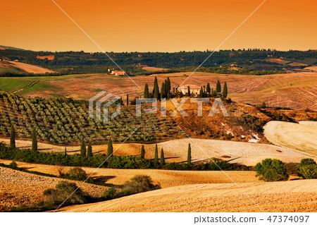 Tuscany landscape at sunset. Tuscan farm house, vineyard, hills. 47374097
