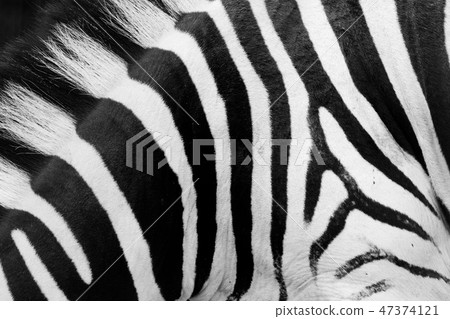 47374121
