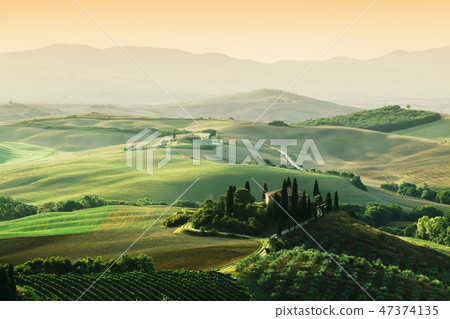 Tuscany landscape at sunrise. Tuscan farm house, vineyard, hills. 47374135