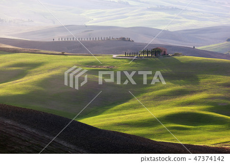 Tuscany landscape at sunrise. Tuscan farm house, vineyard, green hills. Tuscany landscape at sunrise. Tuscan farm house, vineyard, green hills. 47374142