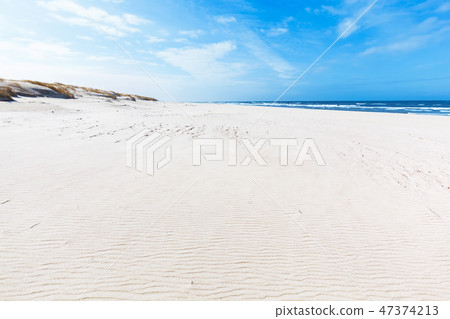 Wide summer beach and dunes in Slowinski National Park, Baltic sea, Poland. 47374213