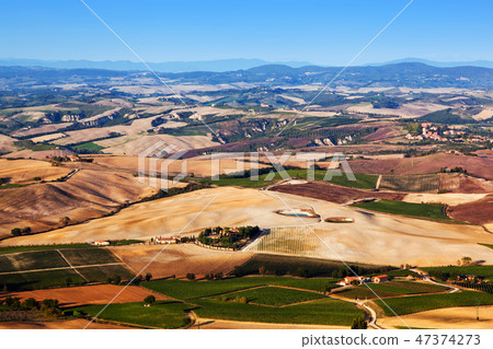 Tuscany landscape panorama, Italy. Farm houses, vineyards. Tuscany landscape panorama, Italy. Farm houses, vineyards. 47374273