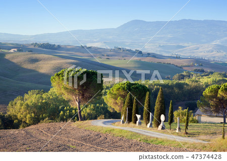 Tuscany landscape in the morning. Tuscan farms, hills, cypress trees Tuscany landscape in the morning. Tuscan farms, hills, cypress trees 47374428