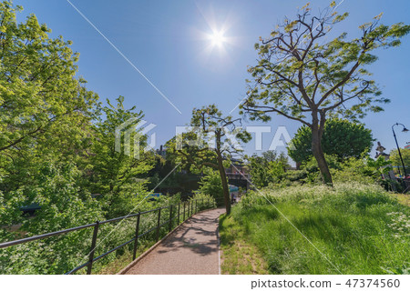 Walking path with nature Walking path with nature 47374560