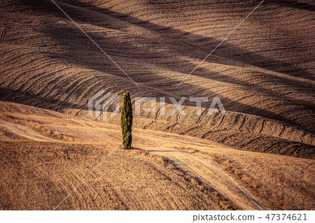 Tuscany fields autumn landscape, Italy. Harvest season 47374621