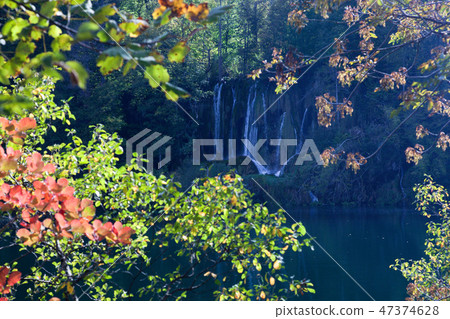 Waterfall in forest. Crystal clear water. 47374628