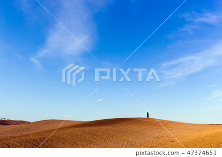 Tuscany landscape with a lonely cypress tree, Italy. Tuscany landscape with a lonely cypress tree, Italy. 47374651