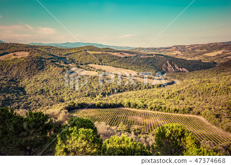 Tuscany landscape with green meadows, vineyards, forests. Italy. Aerial Tuscany landscape with green meadows, vineyards, forests. Italy. Aerial 47374668