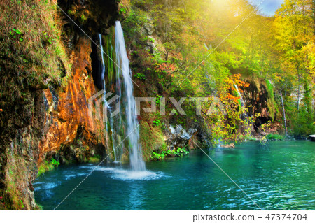 Waterfall in forest. Crystal clear water. 47374704