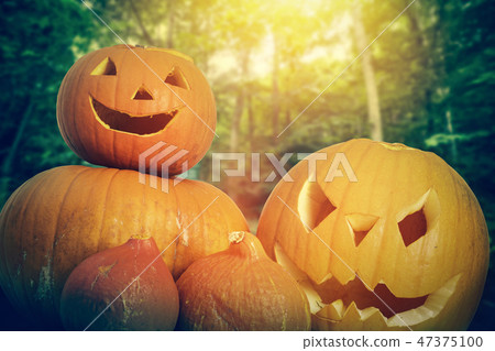 Halloween pumpkins on autumn forest background 47375100