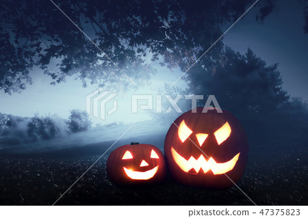 Halloween pumpkins on autumn forest background 47375823