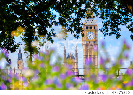 Big Ben,, London UK. View from a public garden with flowers and trees 47375890