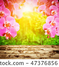 47376856
