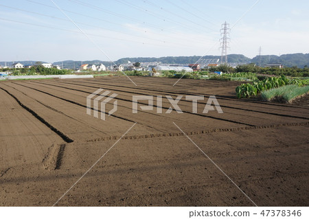 Field of Hino City Field of Hino City 47378346