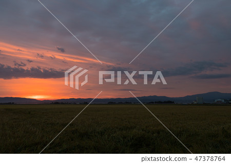 [Yamagata Prefecture] Tsukiyama Sunrise Rainbow 47378764