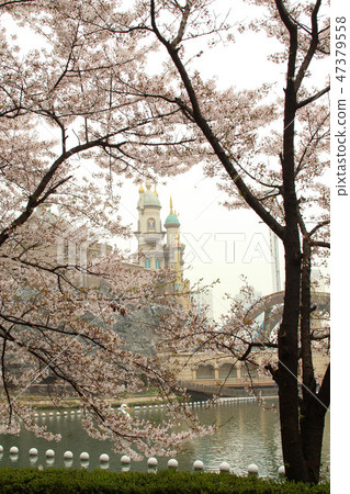 風景 風景 47379558