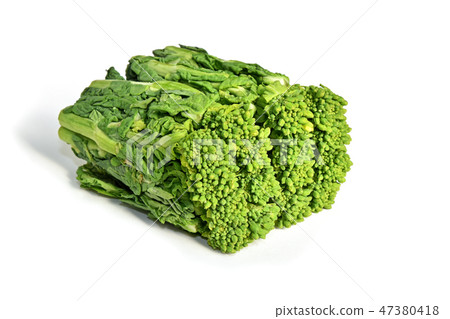 Natsuka (Nana) 47380418