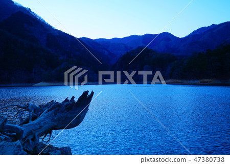 Lake Okutama and driftwood 47380738