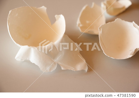 Eggshell membrane Eggshell membrane 47381590