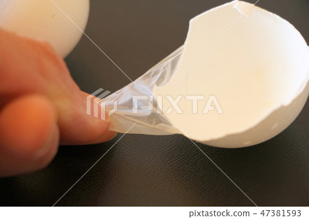 Eggshell membrane Eggshell membrane 47381593