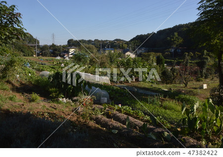 Satoyama Hachioji City in Tokyo Horinouchi 47382422