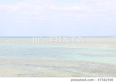 沖繩的珊瑚礁③ 沖繩的珊瑚礁③ 47382500