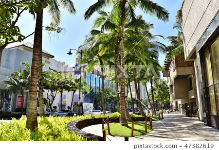 Holidays in Hawaii Holidays in Hawaii 47382619