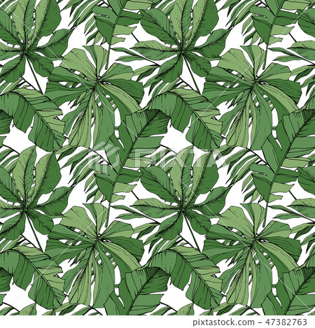 Vector Green Leaf Plant Garden Floral Foliage Stock Illustration Pixta