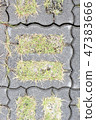 Grass growing from concrete tiles 47383666
