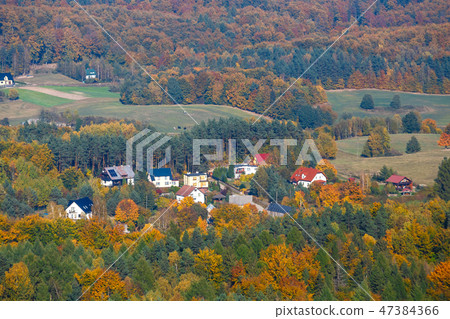 aerial view of the autumn forest aerial view of the autumn forest 47384366