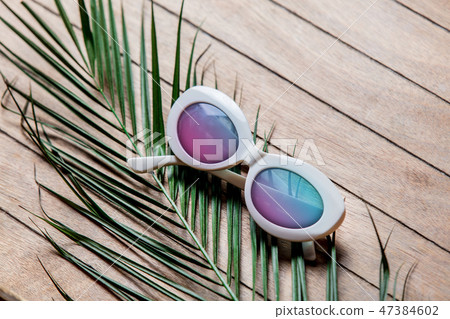 Sunglasses and palm tree branch  47384602