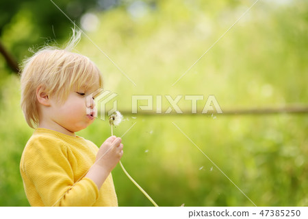 Little boy playing with dandelion flower Little boy playing with dandelion flower 47385250