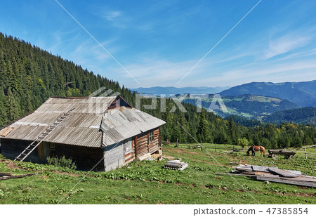 Mountains with forests and house. Carpathian 47385854