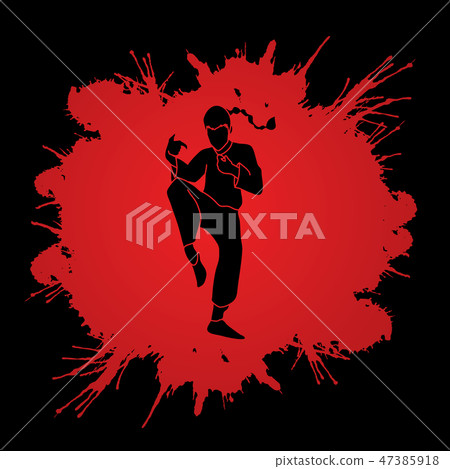 Kung Fu fighting action graphic vector. Kung Fu fighting action graphic vector. 47385918