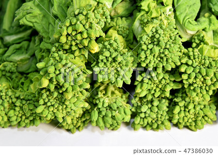 Natsuka（娜娜） 47386030