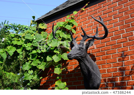 Reindeer head sculture on the red brick wall Reindeer head sculture on the red brick wall 47386244