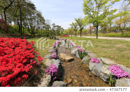 漏斗 漏斗 47387577