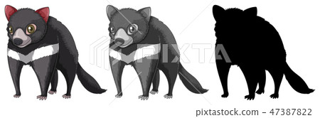 Set of tasmanian devil character 47387822