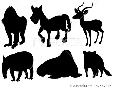 Set of illustration exotic animals 47387876