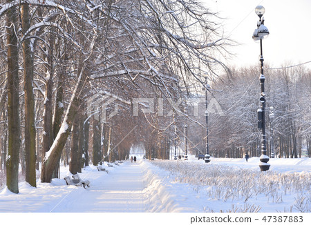 Park alley at winter. 47387883